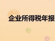 企业所得税年报新表（企业所得税年报）