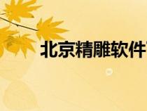 北京精雕软件下载（北京精雕软件）
