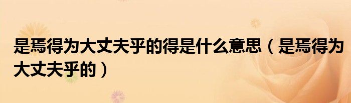 是焉得为大丈夫乎的得是什么意思（是焉得为大丈夫乎的）