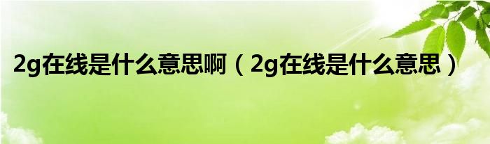 2g在线是什么意思啊（2g在线是什么意思）