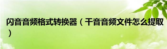 闪音音频格式转换器（干音音频文件怎么提取）