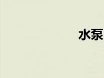 水泵（泵怎么读）