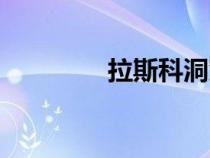 拉斯科洞窟（拉斯科洞窟）