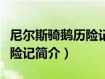 尼尔斯骑鹅历险记动画片全集（尼尔斯骑鹅历险记简介）