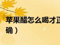 苹果醋怎么喝才正确减肥（苹果醋怎么喝才正确）
