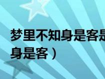 梦里不知身是客是耶非耶化为蝴蝶（梦里不知身是客）