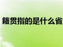 籍贯指的是什么省还是市（籍贯指的是什么）