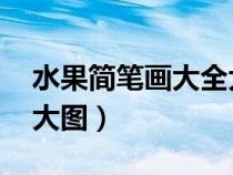 水果简笔画大全大图 颜色（水果简笔画大全大图）