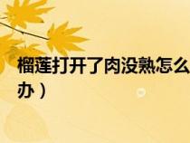 榴莲打开了肉没熟怎么办不甜咋办(榴莲打开了肉没熟怎么办) 榴莲打开了肉没熟怎么办不甜咋办(榴莲打开了肉没熟怎么办)