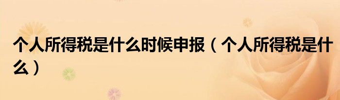 个人所得税是什么时候申报（个人所得税是什么）