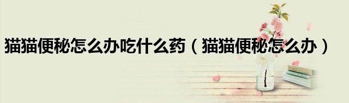 猫猫便秘怎么办吃什么药（猫猫便秘怎么办）