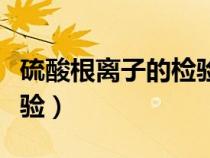硫酸根离子的检验乐乐课堂（硫酸根离子的检验）