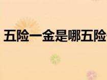 五险一金是哪五险一金（五险一金都是什么）