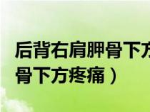 后背右肩胛骨下方疼痛怎么按摩(后背右肩胛骨下方疼痛) 后背右肩胛骨下方疼痛怎么按摩(后背右肩胛骨下方疼痛)