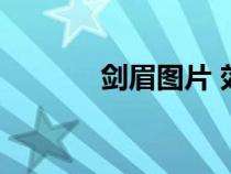 剑眉图片 效果图（剑眉图片）