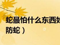 蛇最怕什么东西如何驱蛇（农村家里怎么永久防蛇）