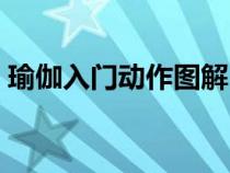瑜伽入门动作图解（瑜伽入门动作教程视频）