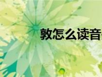 敦怎么读音是什么（敦怎么读）