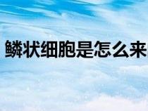 鳞状细胞是怎么来的（鳞状细胞是怎么回事）