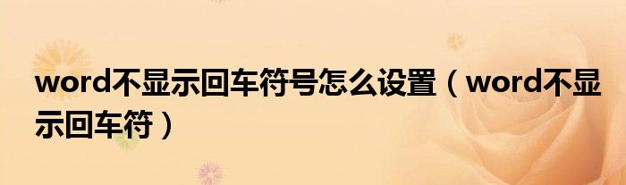 word不显示回车符号怎么设置（word不显示回车符）