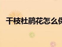 干枝杜鹃花怎么保存（干枝杜鹃花怎么养）