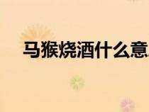 马猴烧酒什么意思（马猴烧酒什么意思）