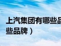 上汽集团有哪些品牌车商务车（上汽集团有哪些品牌）