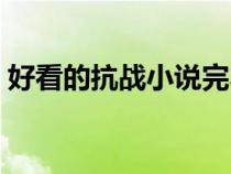 好看的抗战小说完本推荐（好看的抗战小说）