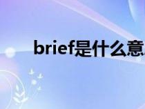 brief是什么意思(brief是什么意思) brief是什么意思(brief是什么意思)