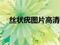 丝状疣图片高清图片（丝状疣图片大全）
