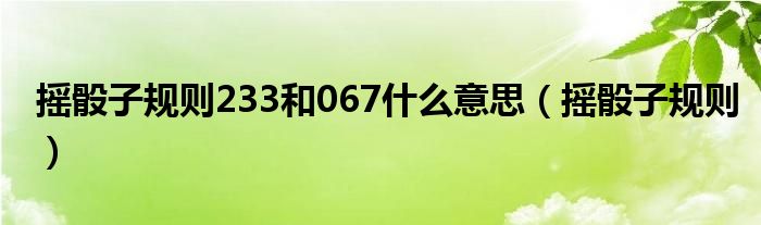 摇骰子规则233和067什么意思（摇骰子规则）