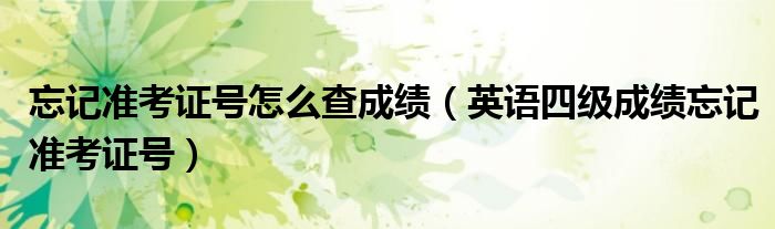 忘记准考证号怎么查成绩（英语四级成绩忘记准考证号）