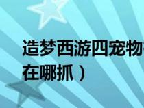 造梦西游四宠物在哪里抓?（造梦西游4宠物在哪抓）
