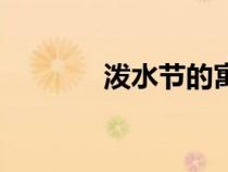 泼水节的寓意（泼水节简介）