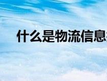 什么是物流信息技术（什么是物流信息）