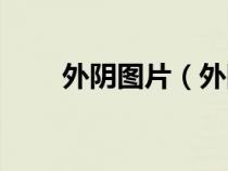 外阴图片（外阴长类似痘痘的图片）
