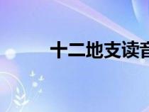 十二地支读音（十二地支的读音）
