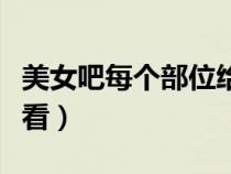 美女吧每个部位给你看（美女把每个部位给你看）