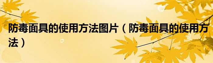 防毒面具的使用方法图片（防毒面具的使用方法）