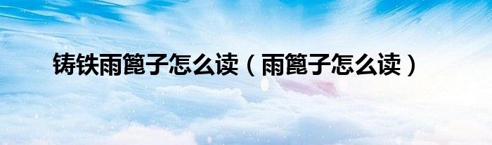 铸铁雨篦子怎么读（雨篦子怎么读）