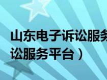 山东电子诉讼服务平台联系电话（山东电子诉讼服务平台）