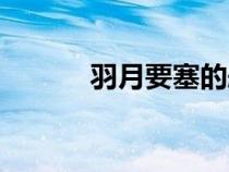 羽月要塞的船去哪（羽月要塞）