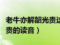 老牛亦解韶光贵这句话的拼音（老牛亦解韶光贵的读音）