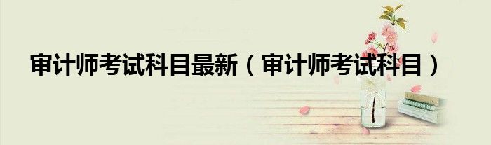 审计师考试科目最新（审计师考试科目）