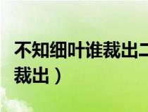 不知细叶谁裁出二月春风似剪刀（不知细叶谁裁出）