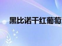 黑比诺干红葡萄酒750ml价格（黑比诺）