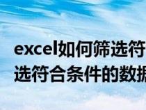 excel如何筛选符合条件的数据（excel如何筛选符合条件的数据）