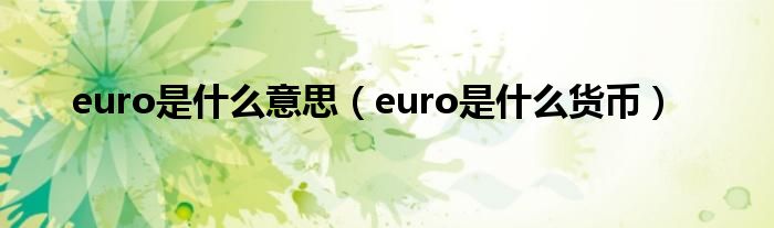 euro是什么意思（euro是什么货币）