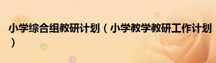 小学综合组教研计划（小学教学教研工作计划）