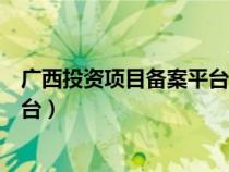 广西投资项目备案平台（广西投资项目在线并联审批监管平台）